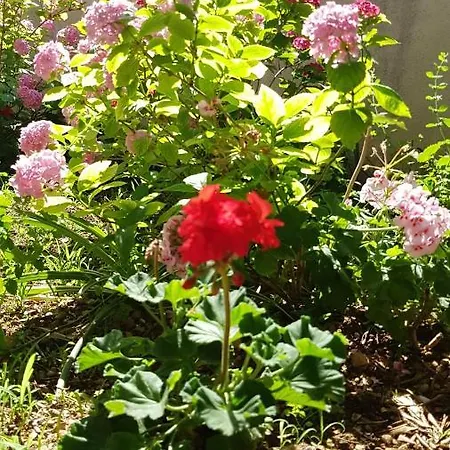 Drasko Maison d'hôtes 3*