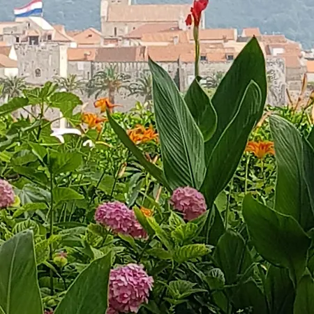 Maison d'hôtes Drasko